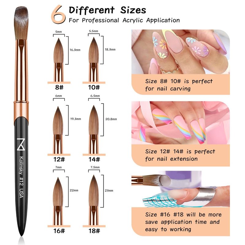 M – Regal 100% Kolinsky Acrylic Nail Brush | Professional Acrylic Nail Sculpting & Application Brush | Premium Nail Art Tool for Nail Technicians & Artists (#16)