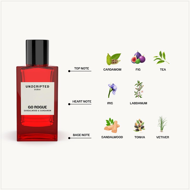 Unscripted Go Rogue - Bold and Unique Perfume for Men - Long-Lasting Men Perfume with Cardamom, Sandalwood and Vetiver for Free Spirits - 3.4 oz
