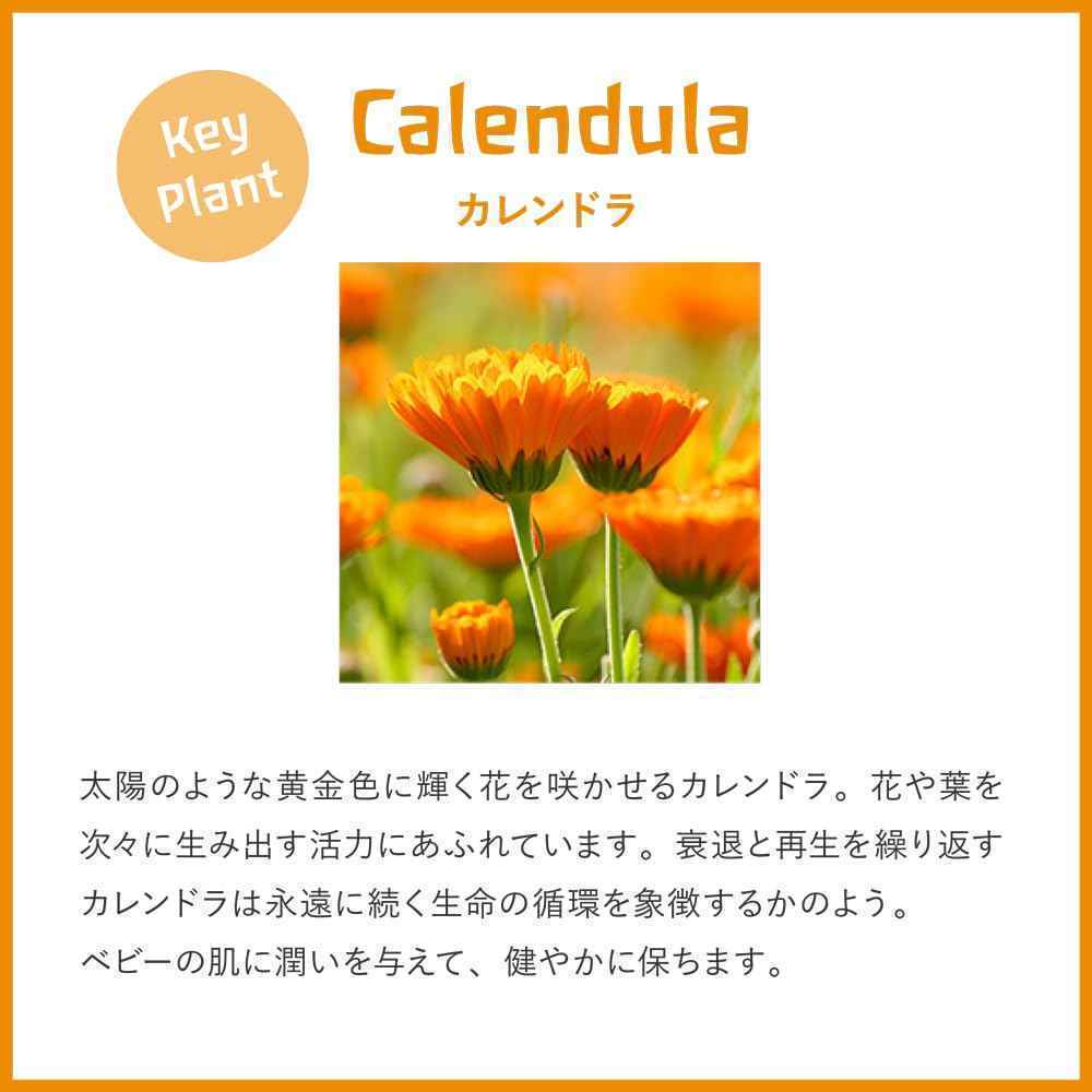 Weleda Products BG19562 Weleda Products Calend Baby Face Creme - 1x1.7OZ