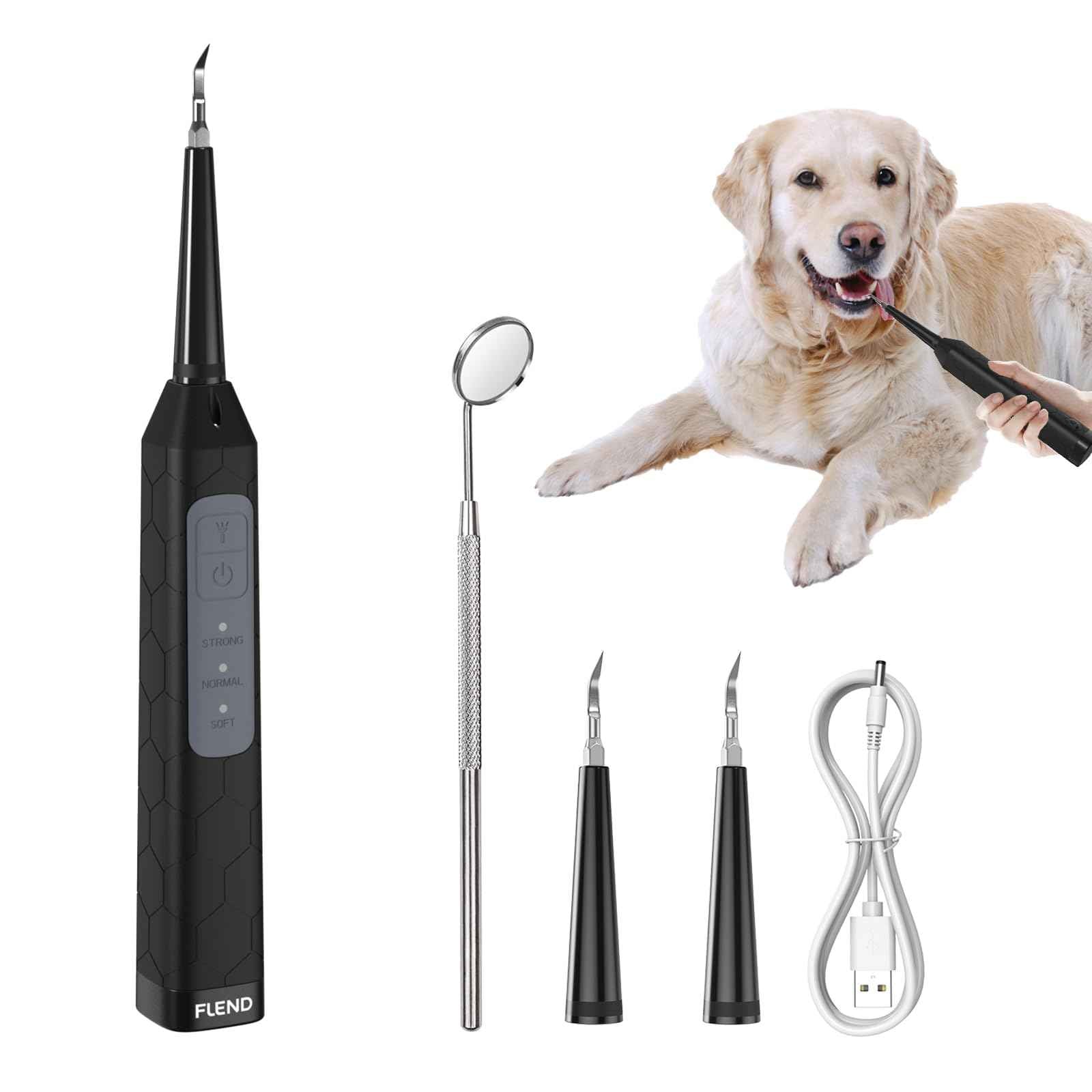 Ultrasonic Dental Care Device – High-Frequency Plaque & Tartar Control, 3 Adjustable Modes, Waterproof, USB Rechargeable, Magnify