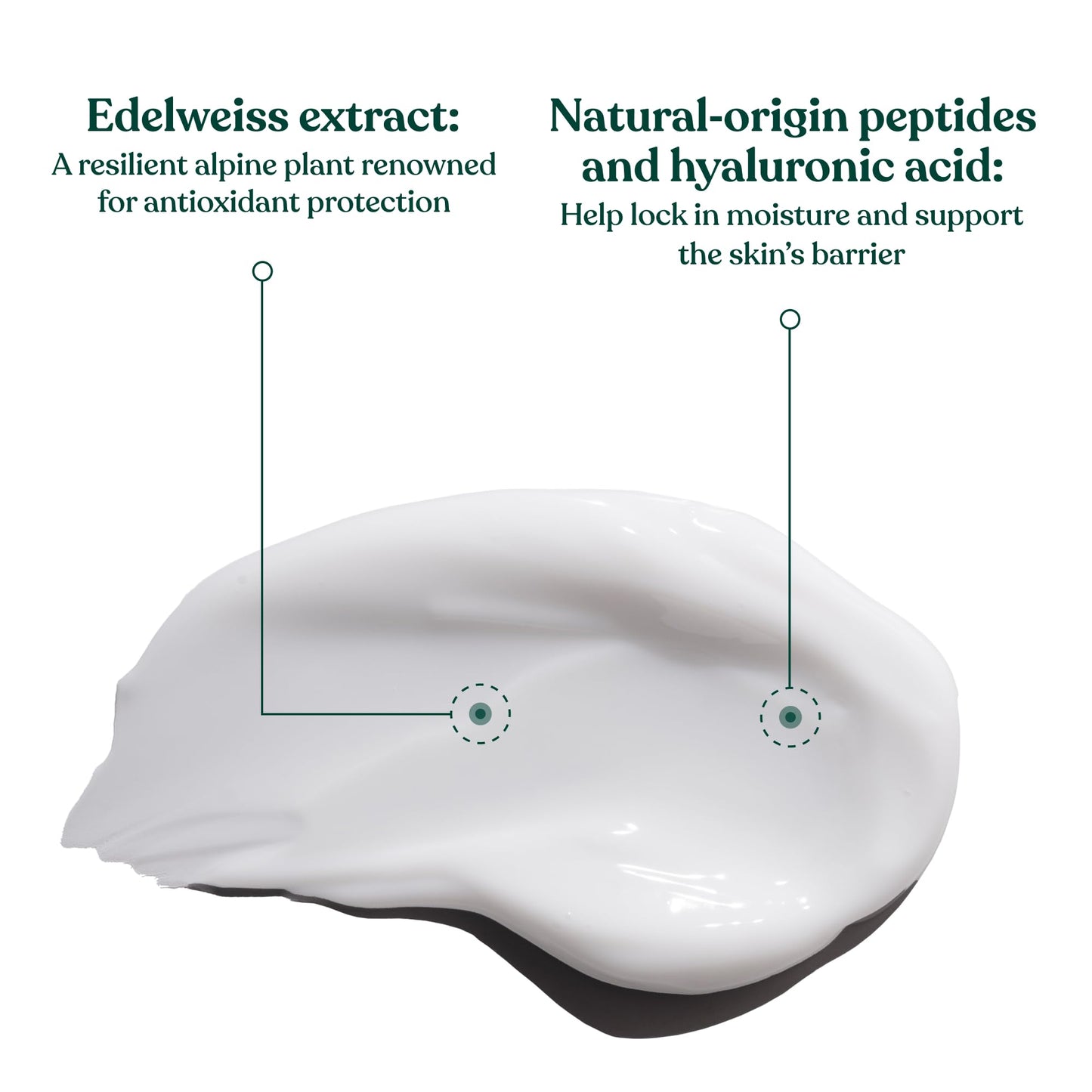 The Body Shop Edelweiss Intense Smoothing Cream – Nourishing Day Cream – Moisturizes and Hydrates Skin – Vegan – 50ml