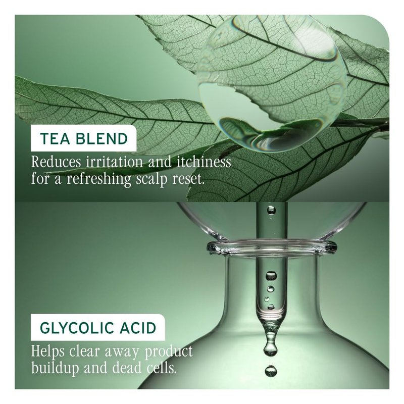 Biolage Scalp Sync Purifying Concentrate - For All Scalp Types, Exfoliating & Clarifying Treatment, Removes Buildup, Refreshing & Reinvigorating, Fermented Tea Blend & Glycolic Acid