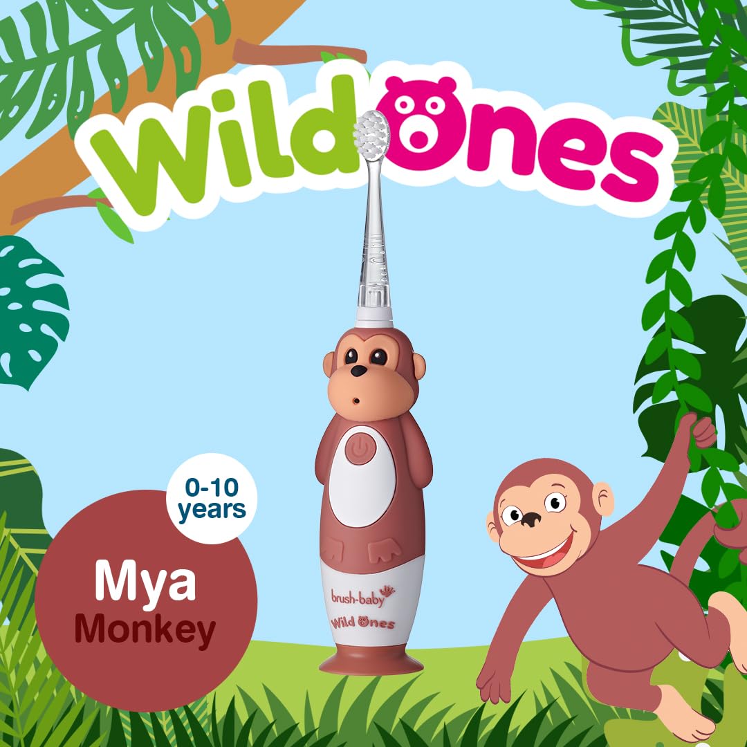 BrushBaby - WildOnes - Kids Rechargeable Electric Toothbrush, Ages 0-10 - Koala Design with Flashing Lights - DeepClean Bristles for Superior Cleaning - 2 Replacement Brush Heads, 1 USB Cable