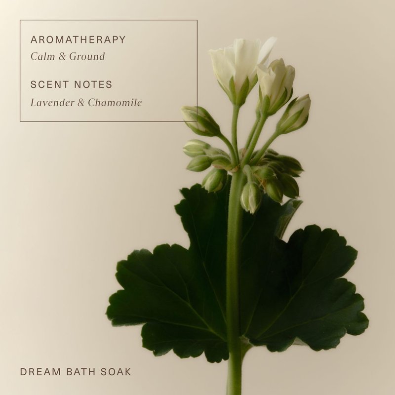 Oak Essentials Dream Bath Soak, Magnesium Bath Salts with European Sea Salt, Lavender, Chamomile and Geranium Oils, Restorative Soak for Recovery and Relaxation, 10 Oz