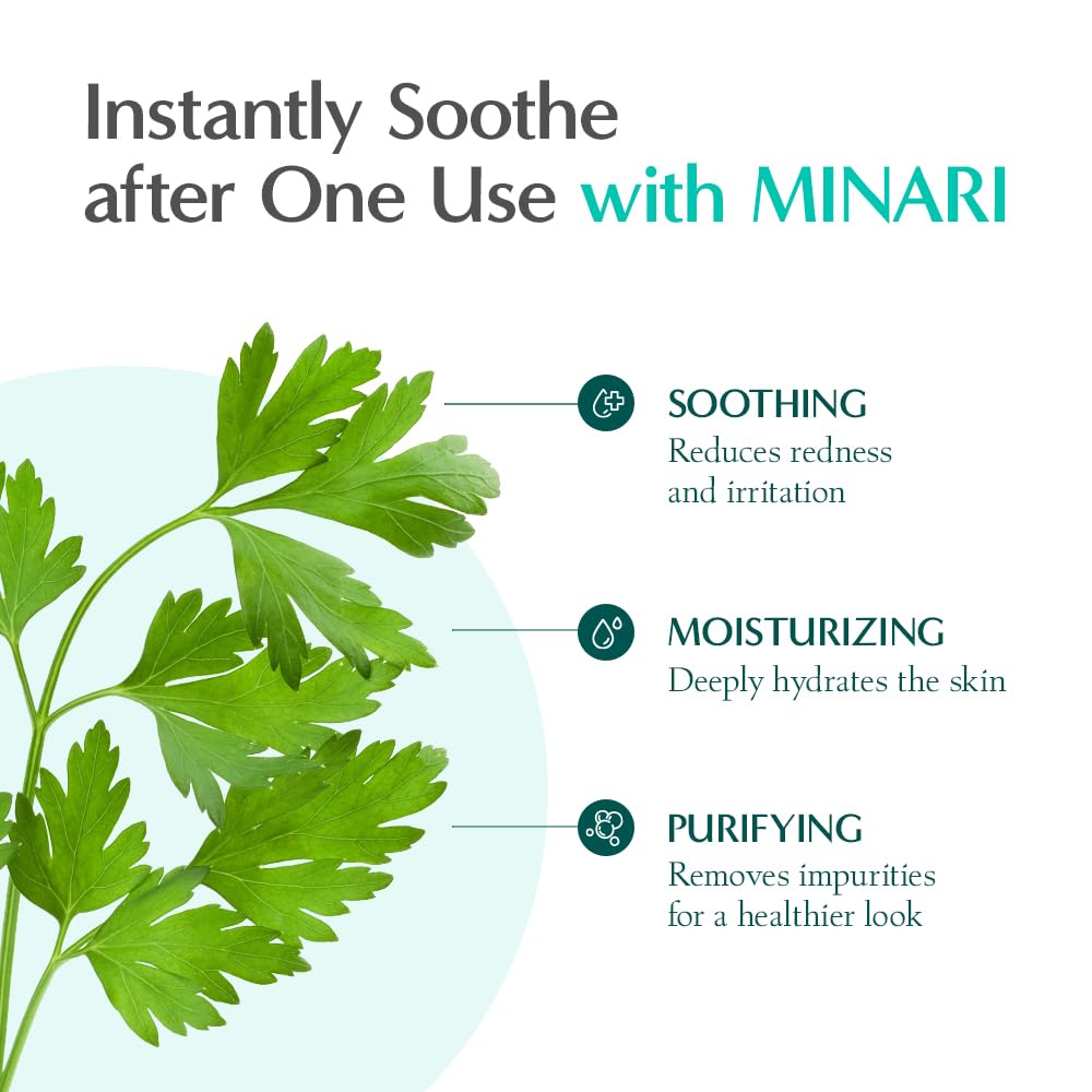RATAPLAN Water Parsley Calming Toner 2 Pack - with Centella Asiatica, Heartleaf, Korean Skin Care, Reduce Skin Heat, Hypoallergenic Soothing Toner