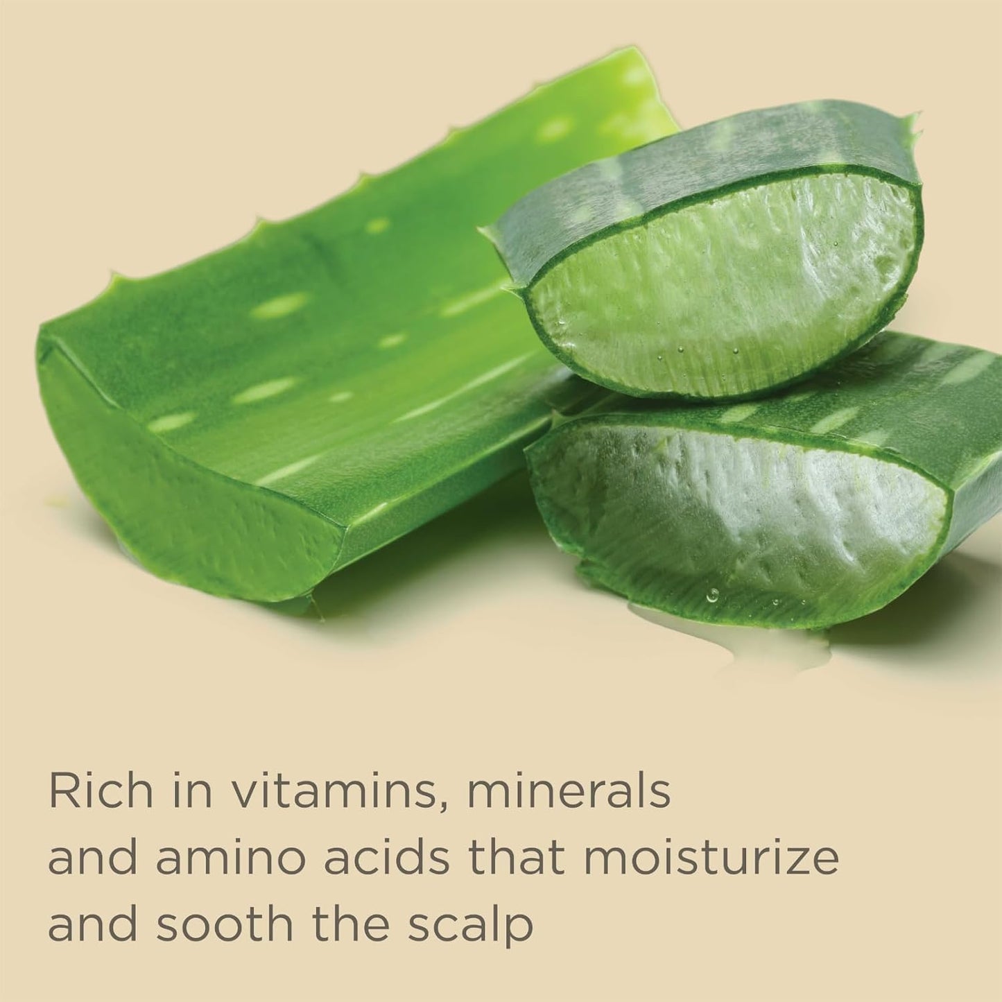 Gentle Daily Hydrating Shampoo for Dry Hair - Jojoba Oil & Aloe Vera, 13 fl. oz. | Ultra-Mild & Moisture-Rich