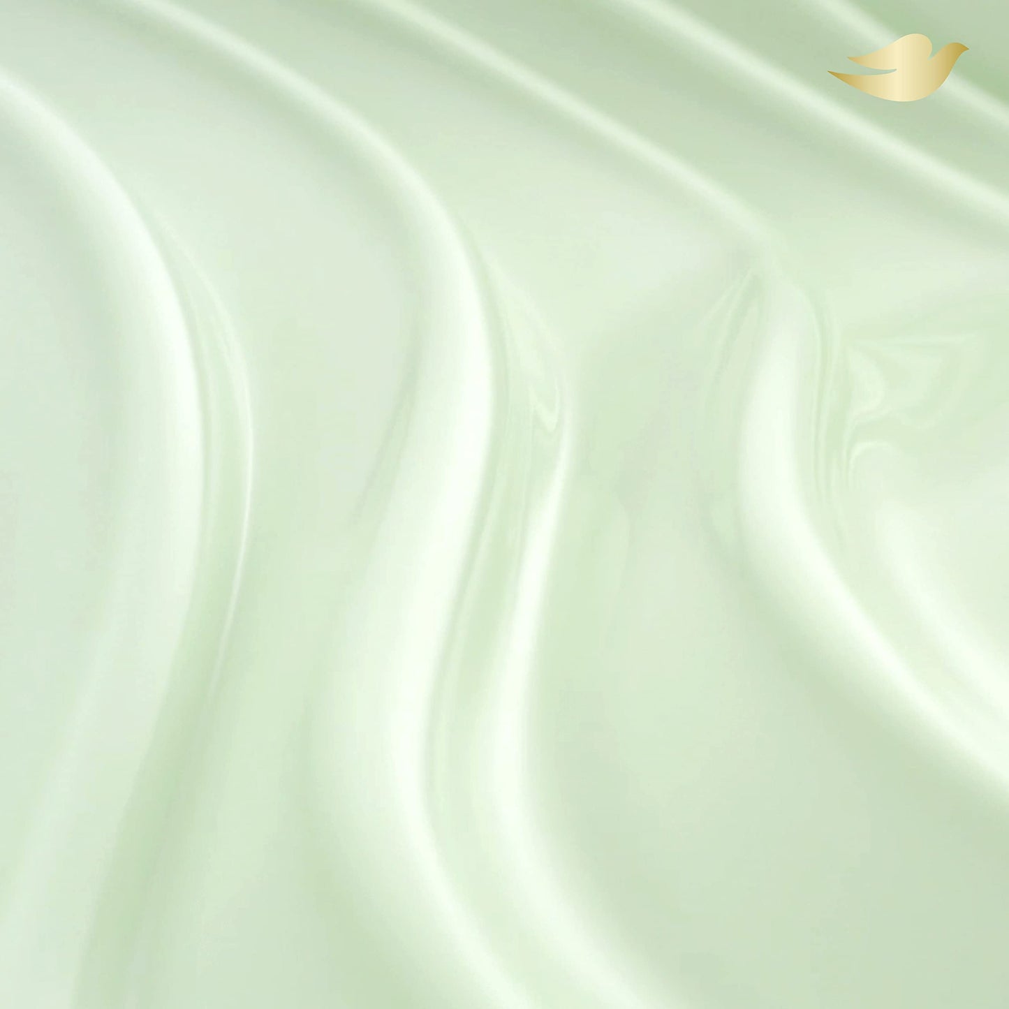Dove Refreshing Body Wash Cucumber and Green Tea 4 Count Revitalizes and Refreshes Skin Cleanser That Effectively Washes Away Bacteria While Nourishing Your Skin 22 oz