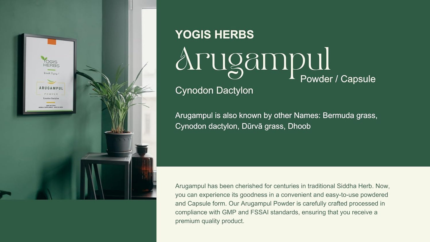 Arugampul Powder - Bermuda Grass Herbal Supplement for Daily Wellness | Hand-Cleaned, Stone-Ground, FSSAI-Certified