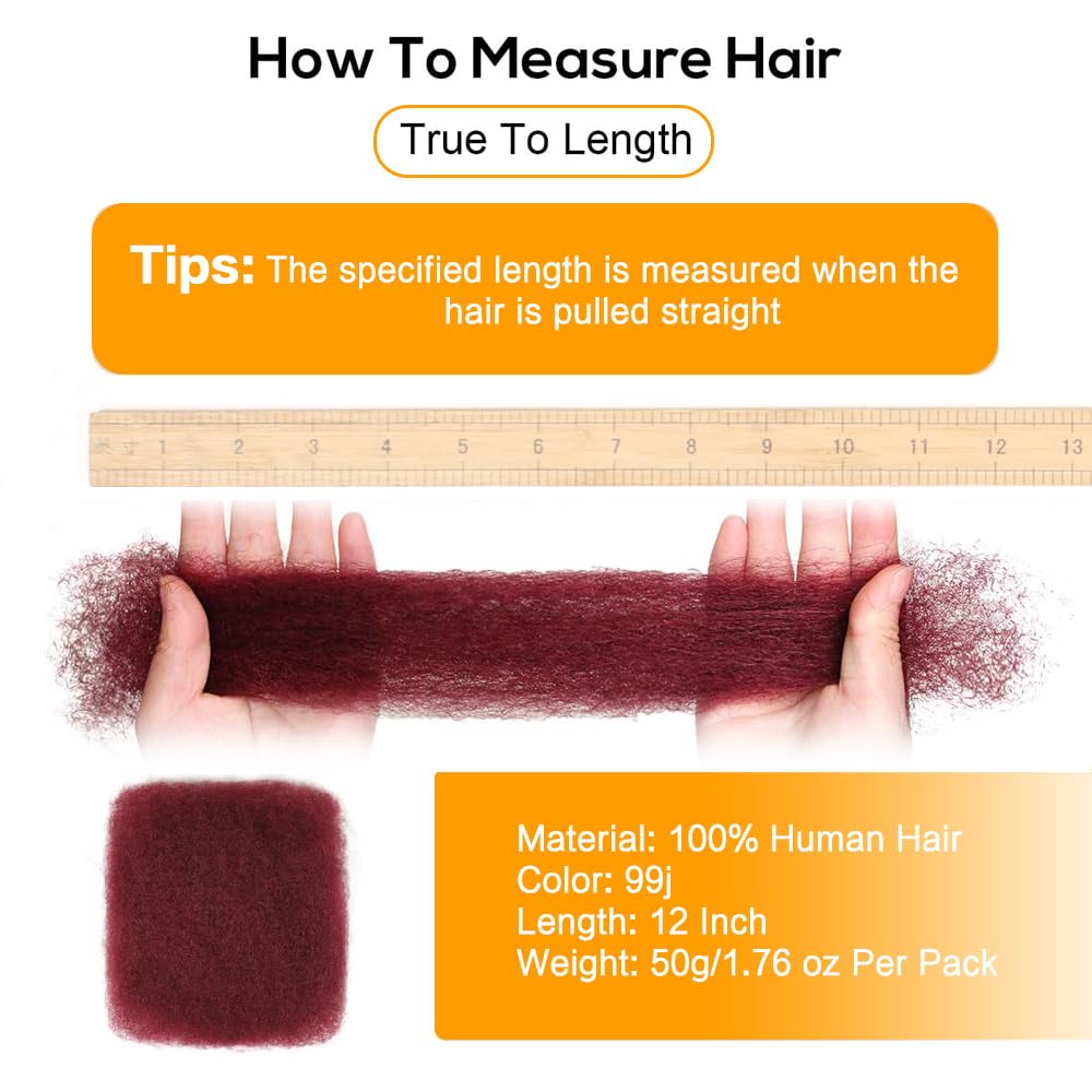 Burgundy Afro Kinkys Bulk Human Hair for Dreadlocks Extensions and Locs Repair 1 Pack 50 Gram 99J Afro Kinky Curly Human Hair Bulk for Twist (99J, 12 Inch)