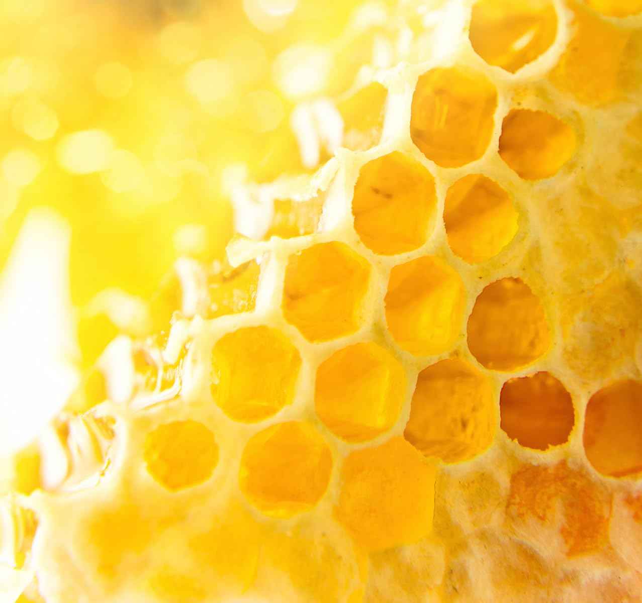 Melvita Nectar De 3 Miels Arnica Lip and Dry Patches Salve