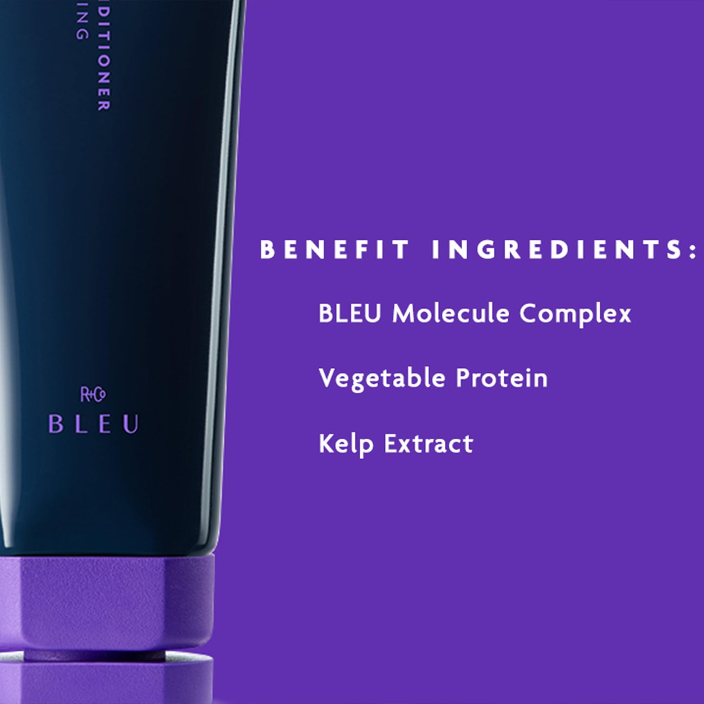 R+Co BLEU Ingenious Thickening Conditioner – Adds Instant Body, Bounce, and Shine, Strengthens, Hydrates, and Visibly Plumps Fine Hair from Roots to Tips – Premium Hair Care, 6.8 oz