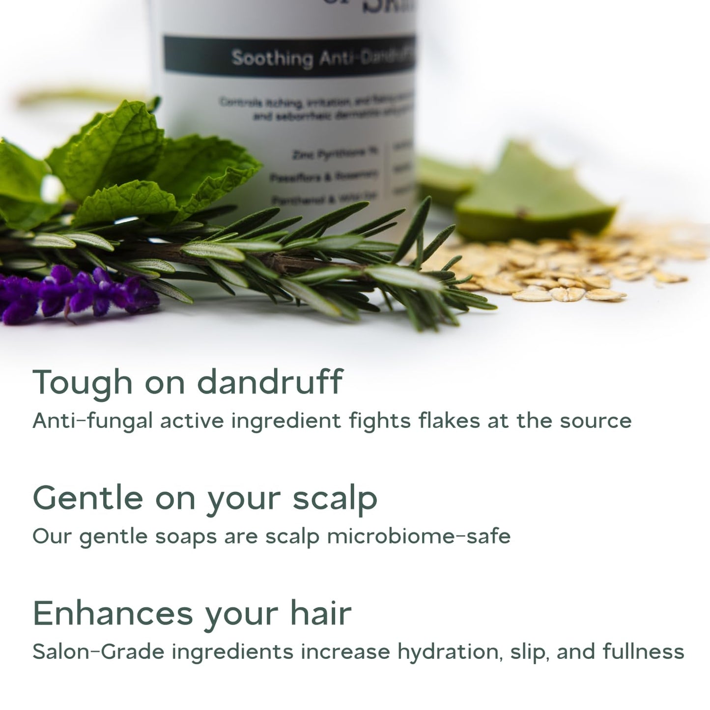 Anti-Dandruff Shampoo - Salon-Grade Treatment for Itchy, Flaky Scalp | 1% Pyrithione Zinc | Sulfate-Free, Gentle Cleanser