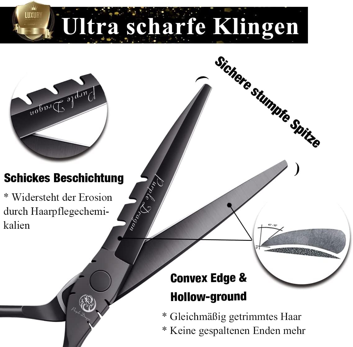 Purple Dragon Professional Japan 440C Hair Salon Cutting Shear and Barber Thinning Scissor Hairdressing Shear Set with Bag