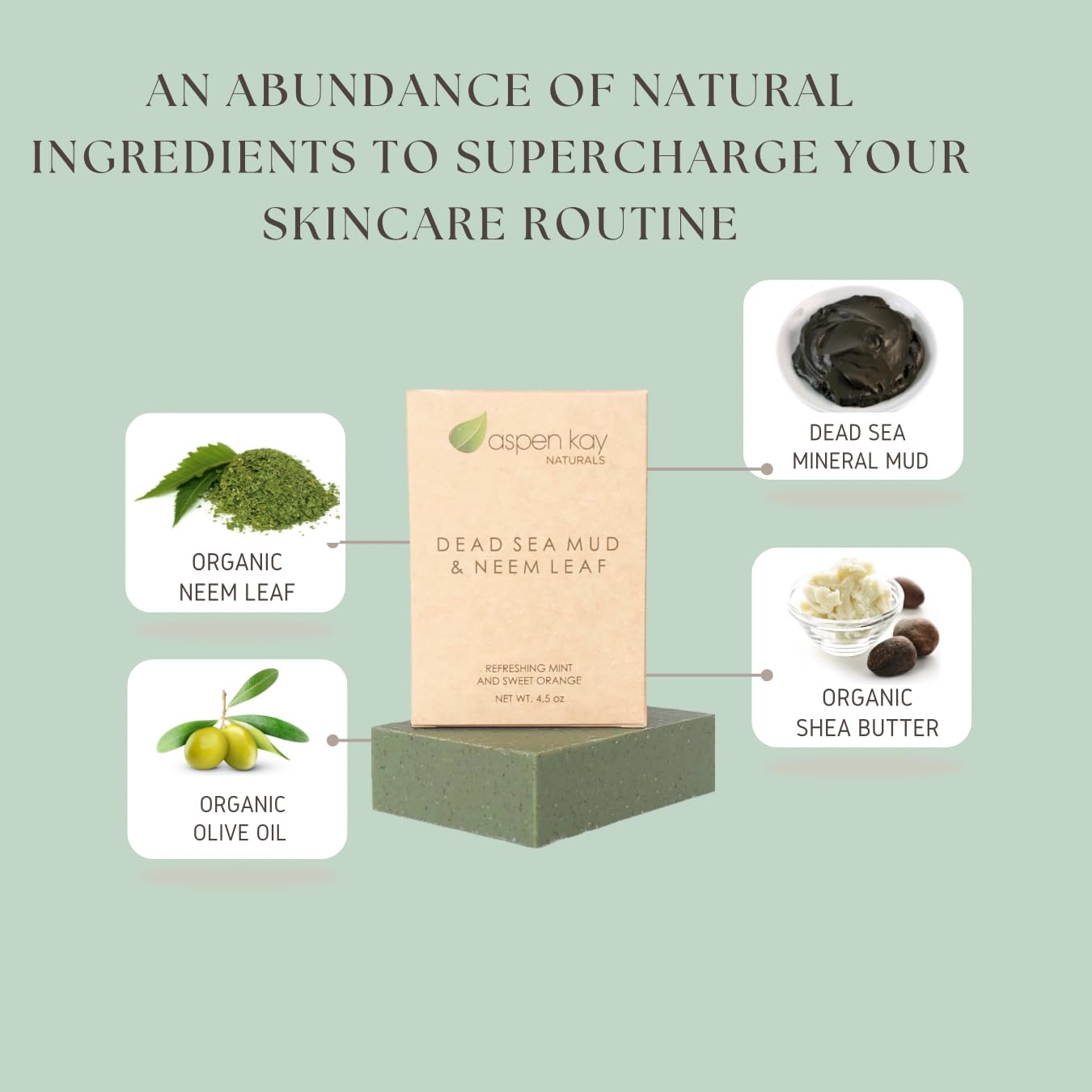Aspen Kay Naturals Dead Sea Mud and Neem Soap - With Organic Shea Butter & Olive Oil. A Wonderful Neem Face Wash for all Skin Types. Handmade Soap - Made in USA. (3 pack)
