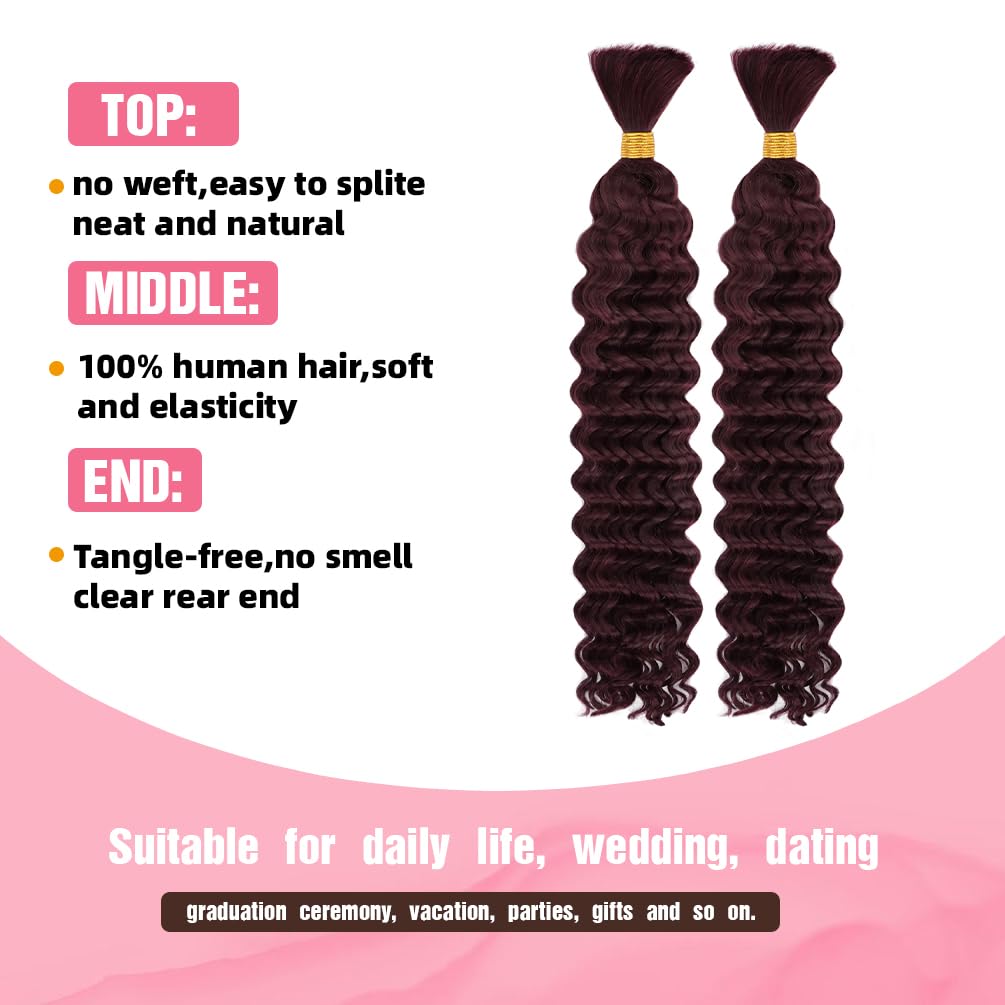 "Human Braiding Hair, 2 Bundle 100g 16 Inch Boho Braids Human Hair 10A Deep Wave Bulk Brazilian Virgin No Weft Wavy Hair Extension for Boho Knotless Bohemian Micro Braid Bulk for Braiding 99J"