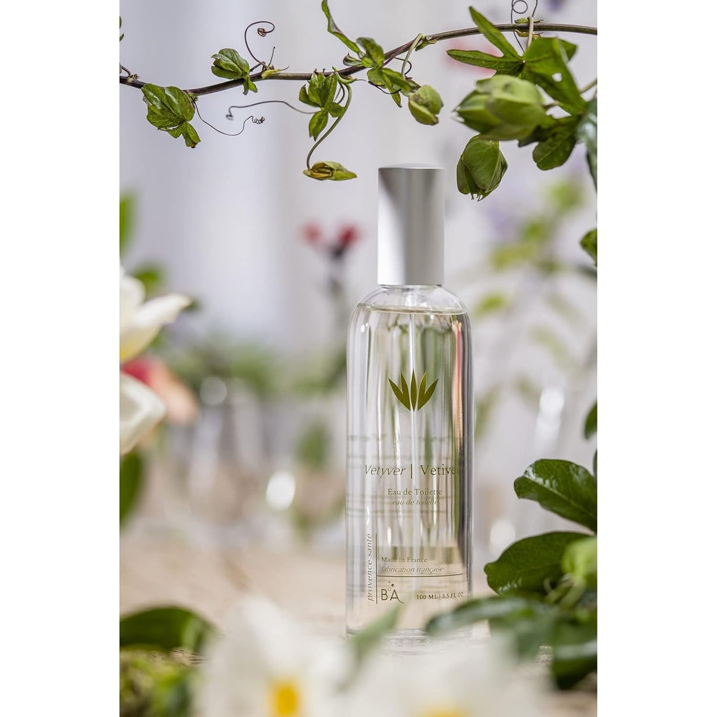 Provence Sante Eau de Toilette Spray - Vetiver Scent Luxury Perfume - Elegant Gift - 3.5 Oz