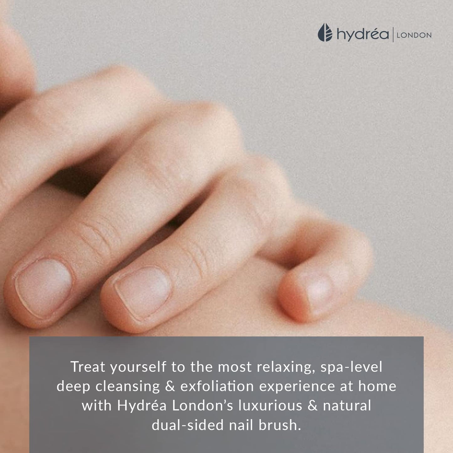 Hydréa London Beechwood Nail Brush Set - Extra Tough FSC® Certified with Firm Cactus Bristles | Twin Pack