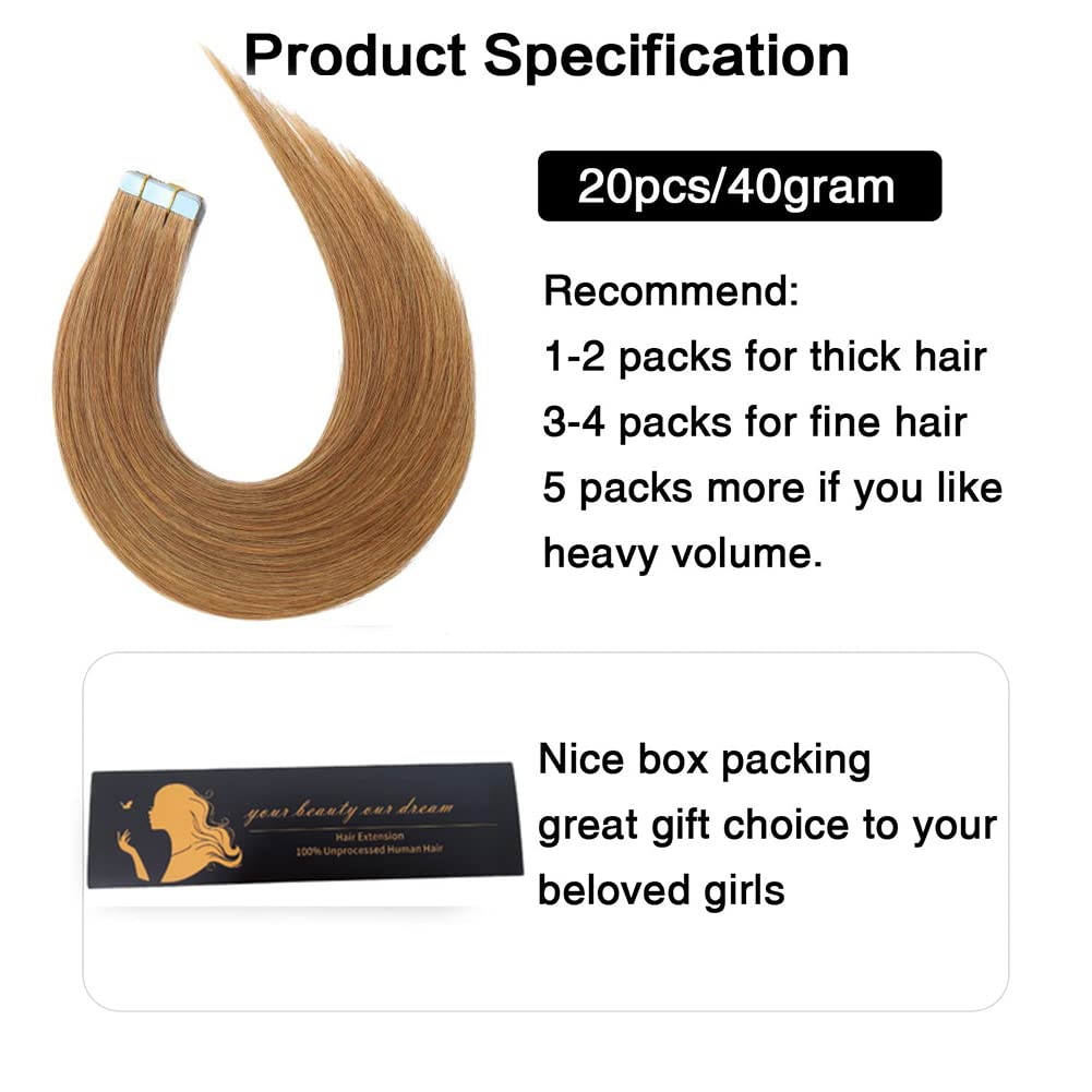 Amella Hair Tape in Hair Extensions #27 Light Brown 100% Remy Human Hair Extensions Silky Straight for Fashion Women 20 Pcs/Package(12 Inch #27 40g)