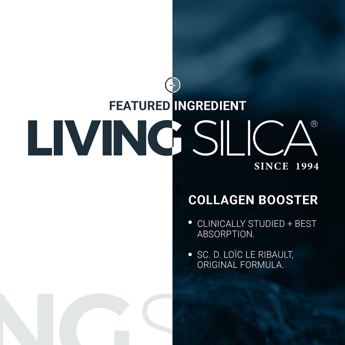 ORGONO LIVING SILICA Mineral-Based Collagen Booster Gel | Topical Use & Dermal Absorption | Clinically Proven | Supports Skin & Joint Health | Promotes Hydration & Collagen Regeneration | 150mL