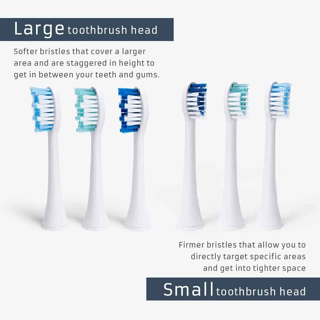 Dazzlepro Elements Toothbrush Heads - Compatible With Elements Sonic Toothbrush, Large, Soft Bristles, Large- Replacement Brush Heads, Large (Pack of 3)
