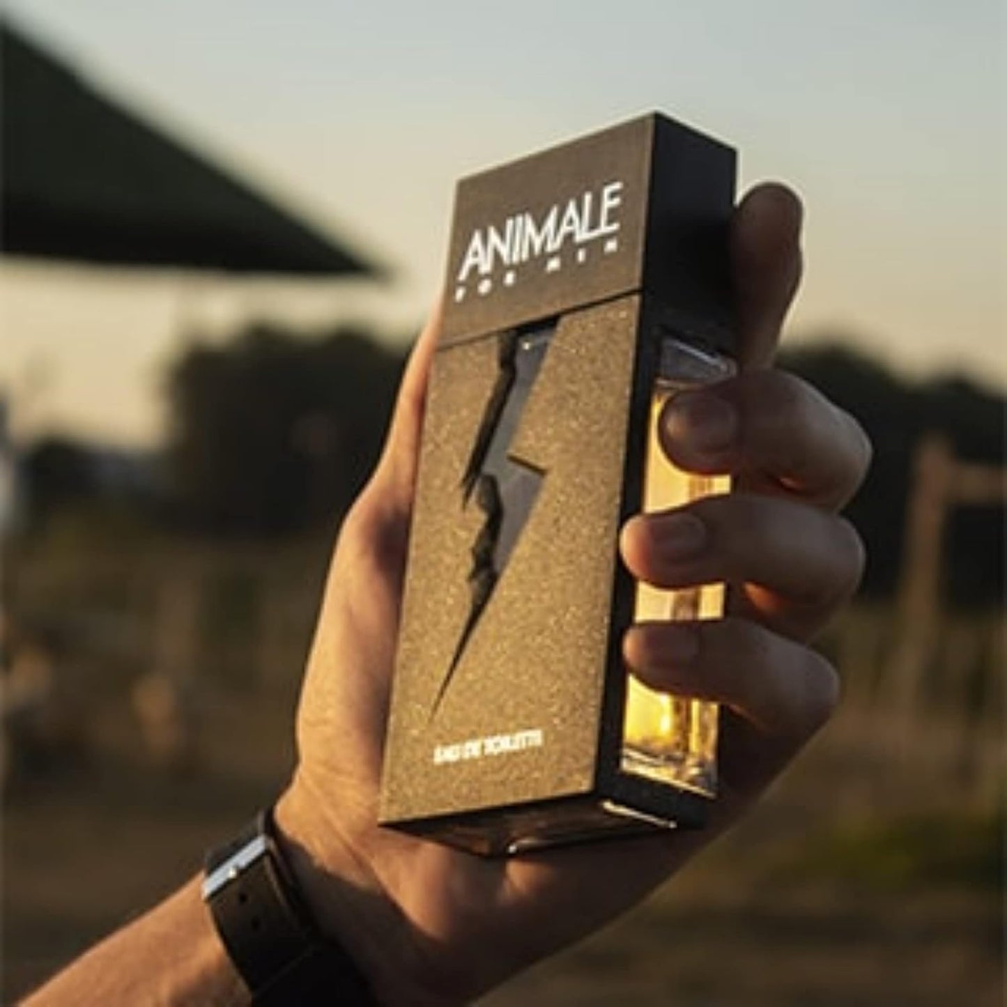 Animale Eau De Toilette Spray For Men - 3.4 Ounces | Masculine Fragrance