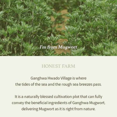 I'm from Mugwort Gel Cleanser 150ml, Mugwort 60%, Calming, Soothing, Mild low pH Korean Face Wash for Sensitive Skin, Irritated Skin, Herbal, Hypoallergenic, Vegan