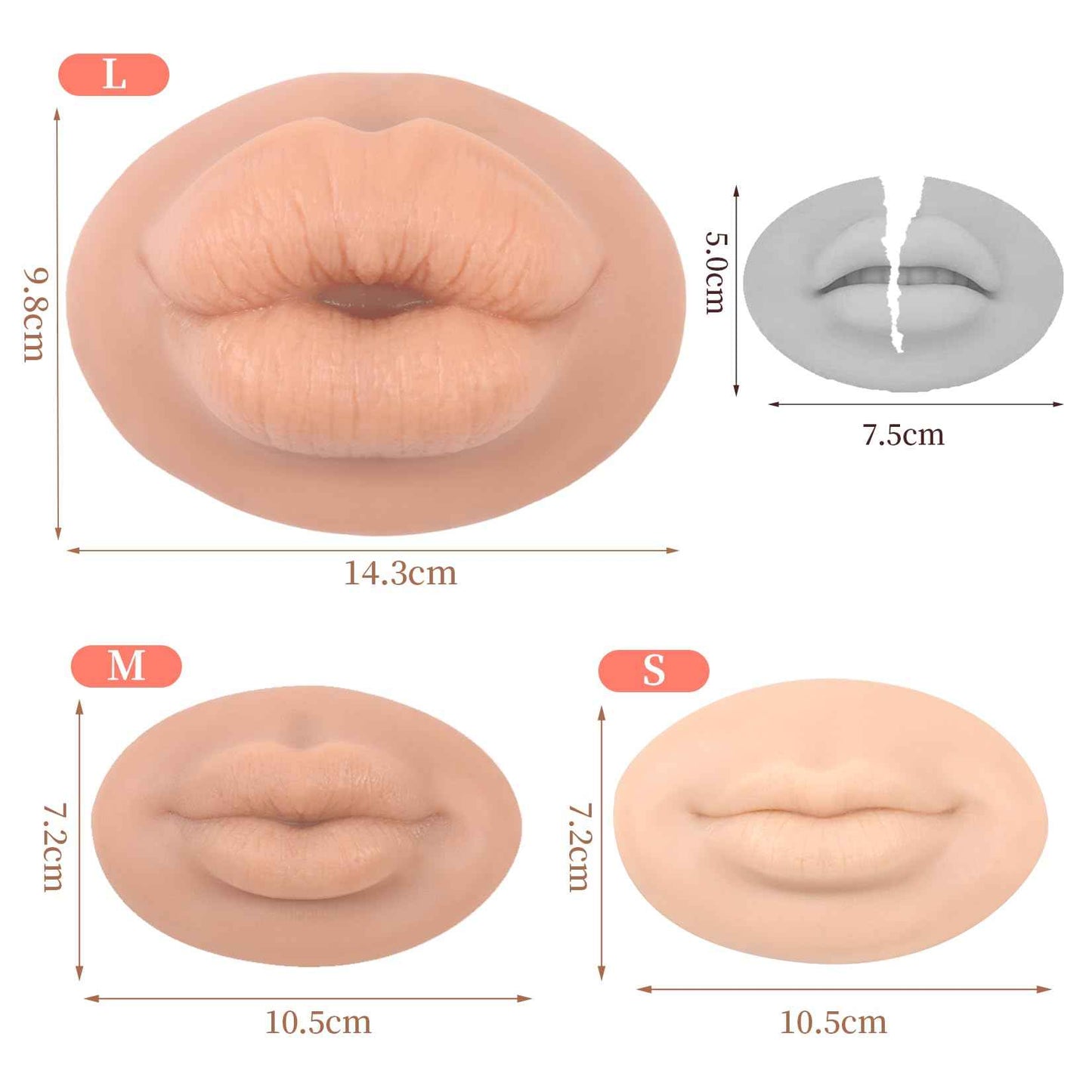 YEEFAIRY 3D Silicone Fake Lips Large with Lipstick for Makeup Tattoo Practice Realistic Artificial Lip Mannequin for Beginners Artists (Sausage Shaped Lip,Natural)