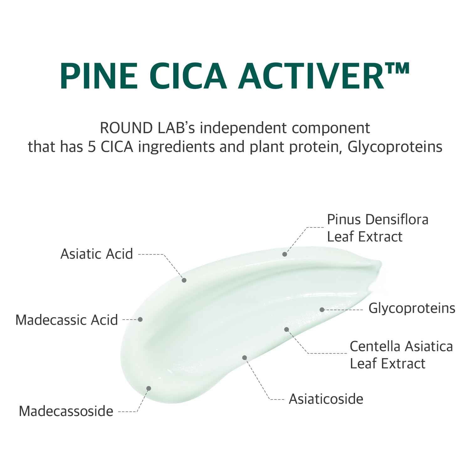 ROUND LAB Pine Calming Cica Cream 1.69 Fl Oz, Low-Acidic Soothing Moisturizer with Pine Cica, BHA + LHA, and Hyaluronic Acid for Skin Barrier Support, Sebum Control, and Hydration, Korean Skincare