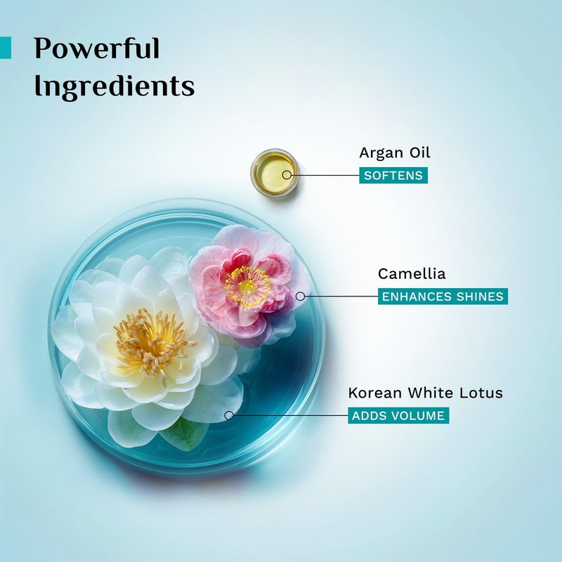 Pilgrim Korean Argan Oil Hair Mask with White Lotus & Camellia | Deep Conditioning & Hydrating for Dry Damaged Hair | Strengthen, Repair & Fights Hair Fall | 6.76 Fl Oz (200ml)