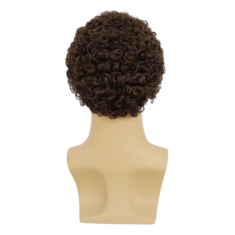 RicHyun Short Curly Brown Wig for Men Short Curly Afro Synthetic Natural Looking Daily Party Costume Halloween Wigs for Male Guys
