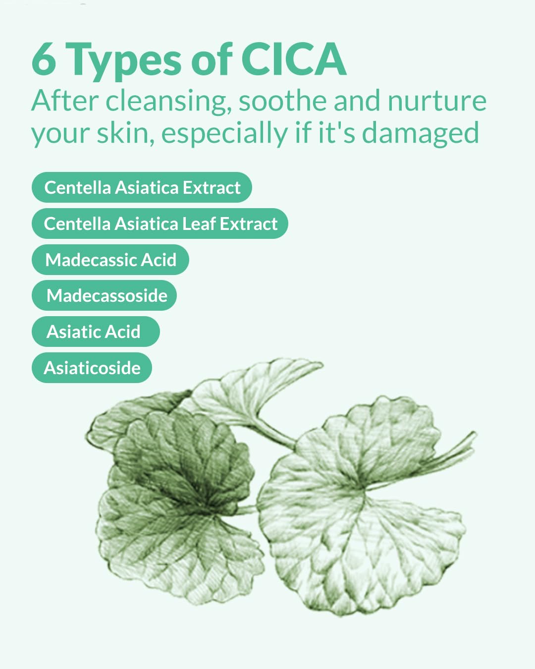 HERBNOTE AHA BHA Cica Gentle Clear Pad - Facial Exfoliating Pad for Dead Skin Cell Care, pH Balancing & Sebum Control, Tighten Large Pores, Calm Sensitive Skin, & Moisturize Dry, Flaky Skin, 70 Sheets