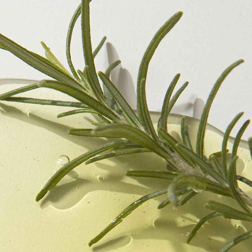 KAINE Rosemary AHA Night Serum | Lactic Acid & Rosemary Leaf Extract Serum for Face - Mildly Exfoliates without Drying for Radiant, For Acne Prone, Sensitive Skin, Korean Skin Care, 30mL / 1.01 fl oz