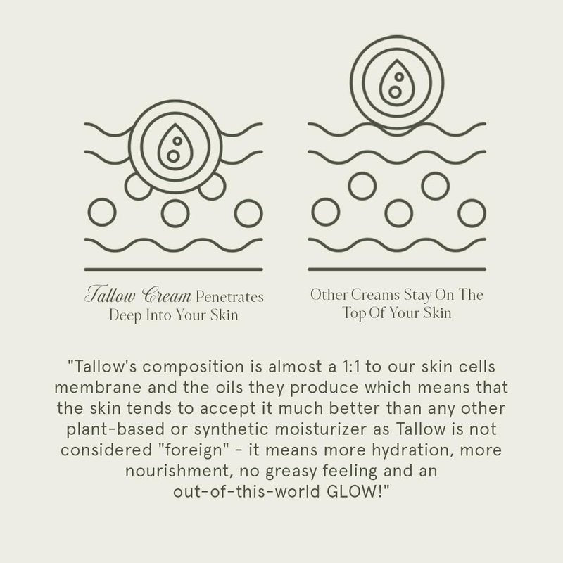KUSHI Grass-Fed Whipped Tallow Cream Moisturizer for Face & Body – Organic Lavender – Vitamins A, D, E, K – Paraben & Sulfate Free, All-Natural Skin Care – 1.3oz