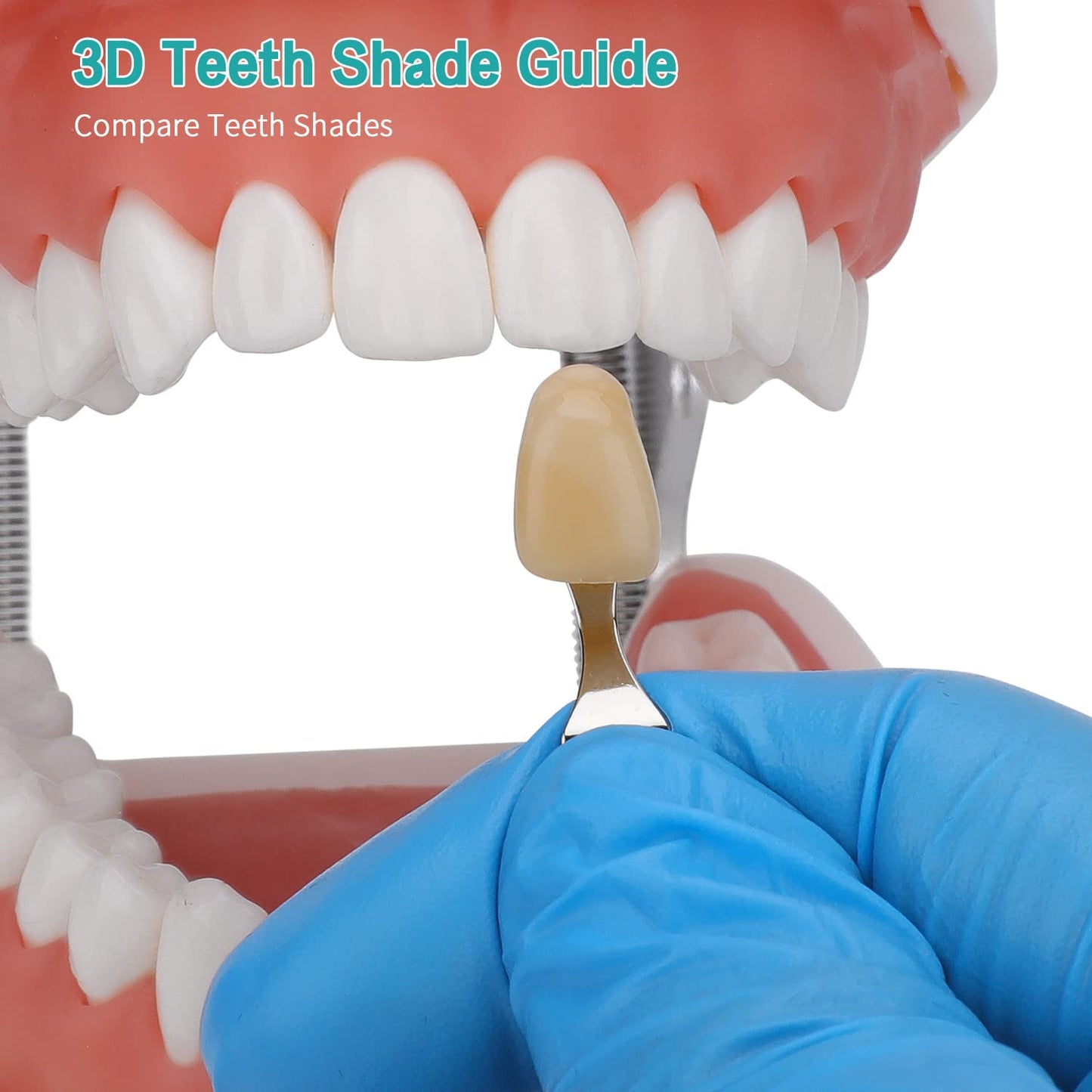 LVCHEN Dental Shade Guide Professional 3D R-20 Tooth Whitening Shade Chart with 20 Colors Teeth Shade Guide with Mirror