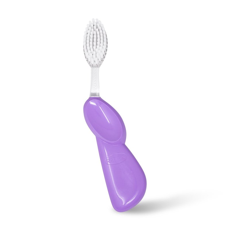 RADIUS Toothbrush Big Brush with Replaceable Brush Head BPA Free ADA Accepted - Right Hand - Pastel Lavender Brush with Pastel Lavender Case