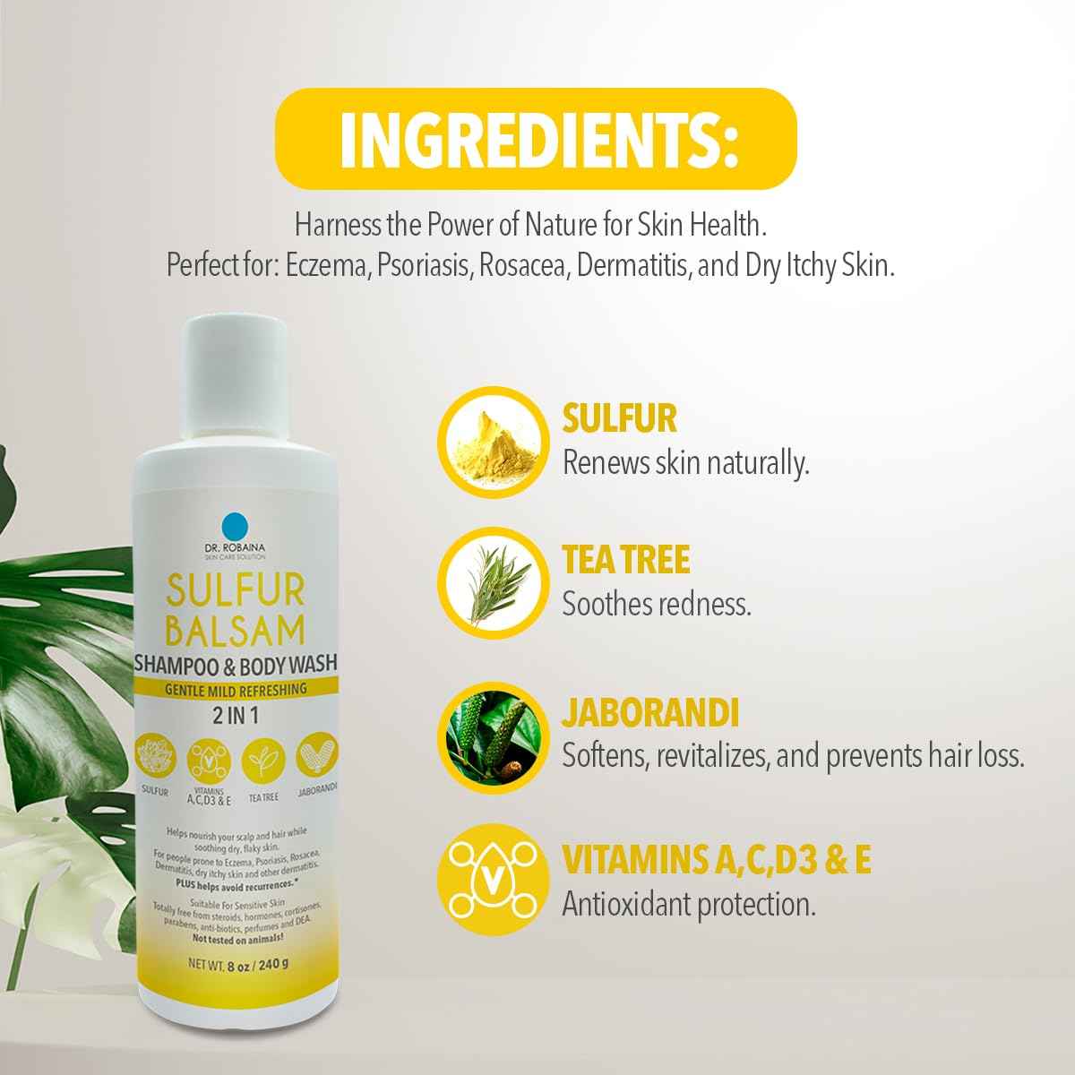 Dr. Robaina Sulfur Shampoo & Body Wash – Helps Soothe Dandruff, Seborrheic Dermatitis, Folliculitis & Itchy Scalp – Color-Safe, SLS-Free, Citrus-Mint Scent, 8 fl oz - Made in the USA