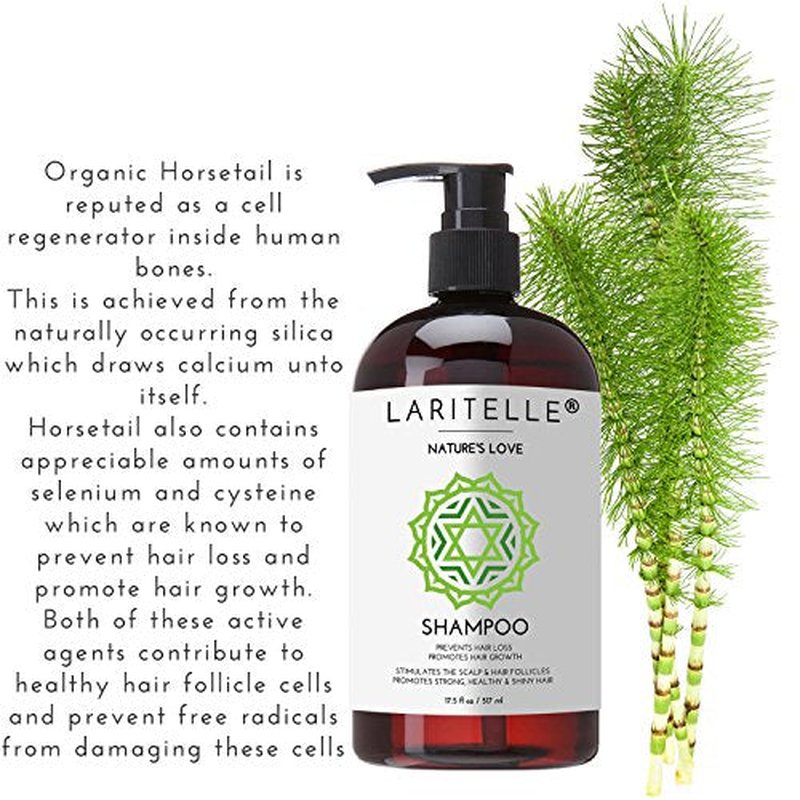 Laritelle Organic Shampoo 17 oz + Conditioner 16 oz | Prevents Hair Loss, Promotes Hair Growth | Organic Quinoa + Keratin + Rosemary, Ginger & Grapefruit | NO GMO, SLS, Gluten, Parabens, Phthalates