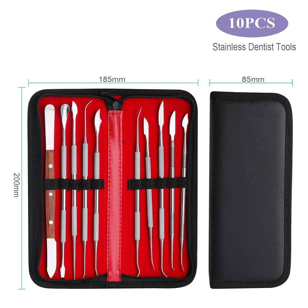 10 PCS Dental Wax Carving Tools Stainless Steel Waxing Modeling Kits with Case, Wax Carvers Set, Plaster Knife Metal Clay Sculpting Pottery Sculpture Tools Double Ended Tools