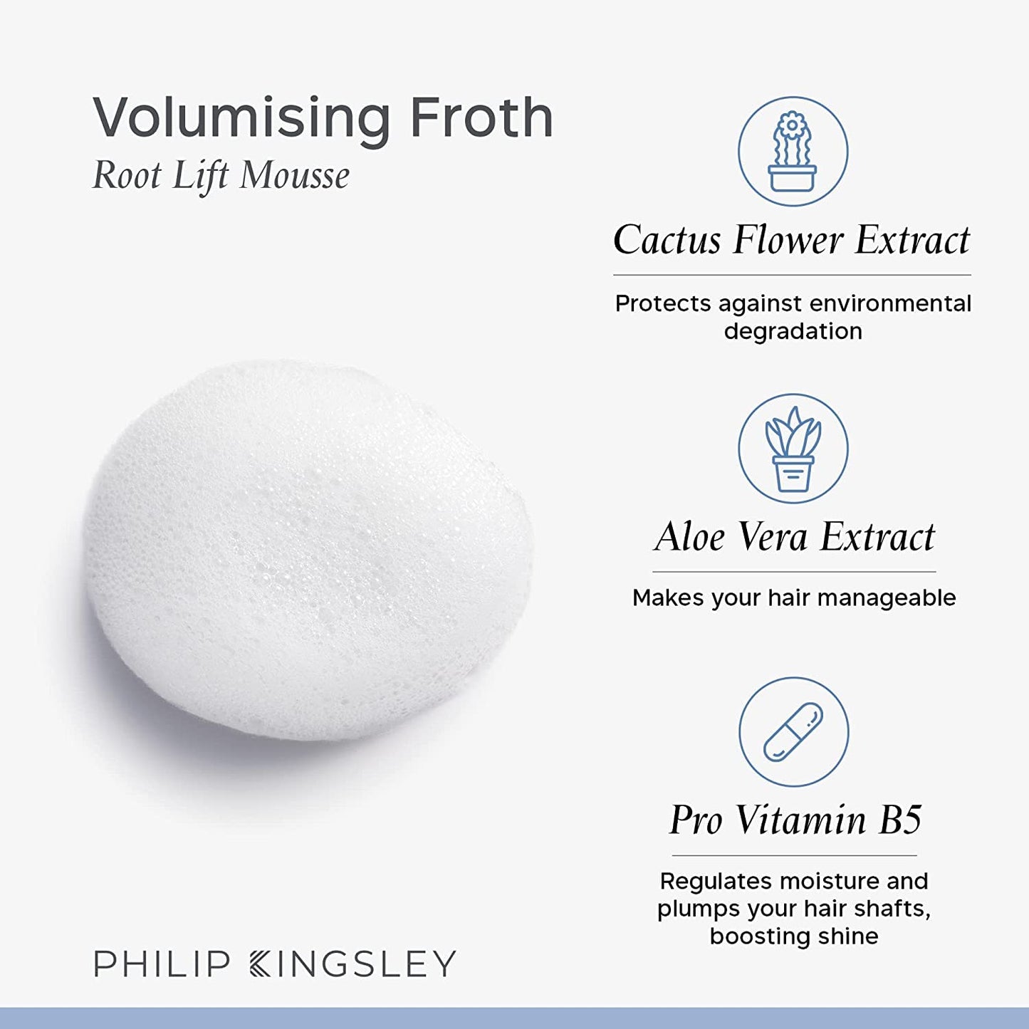 PHILIP KINGSLEY | Volumizing Froth Styling Mousse | Root Lifting Moose | Long-Lasting Volume and Lift with Medium Hold | 11.69oz