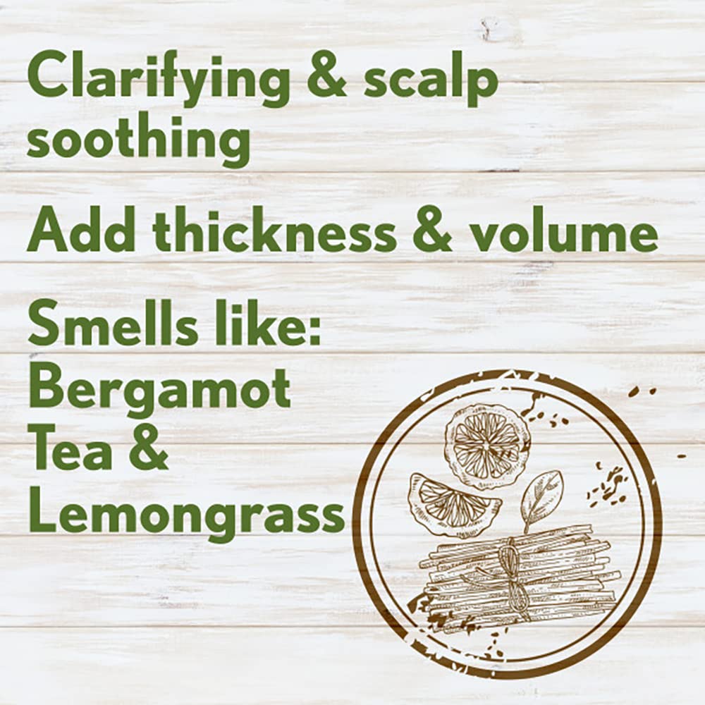 Aveeno Fresh Greens Shampoo and Conditioner Set, Sulfate Free, Clarifying & Volumizing for Thin or Fine Hair, Rosemary Peppermint Cucumber Nourish & Thicken, Color Safe Paraben Free, 12 Fl Oz, 2 Count