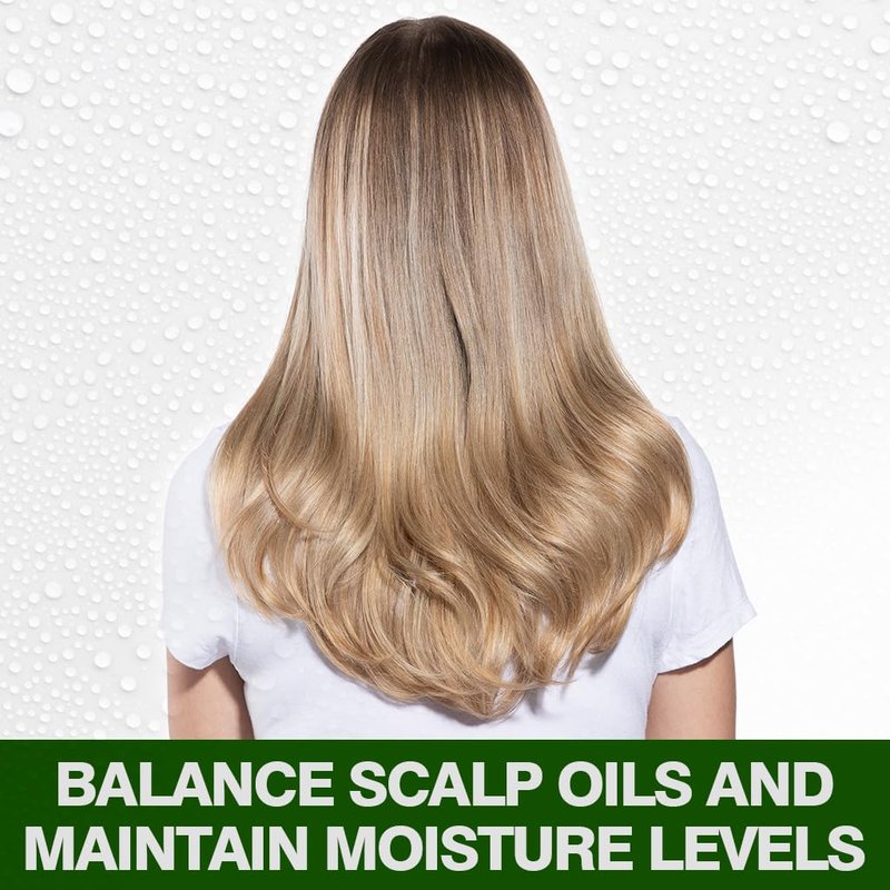 CHI Tea Tree Oil Shampoo - Strengthening Formula for Gentle Cleansing & Impurity Removal | 11.5 Oz