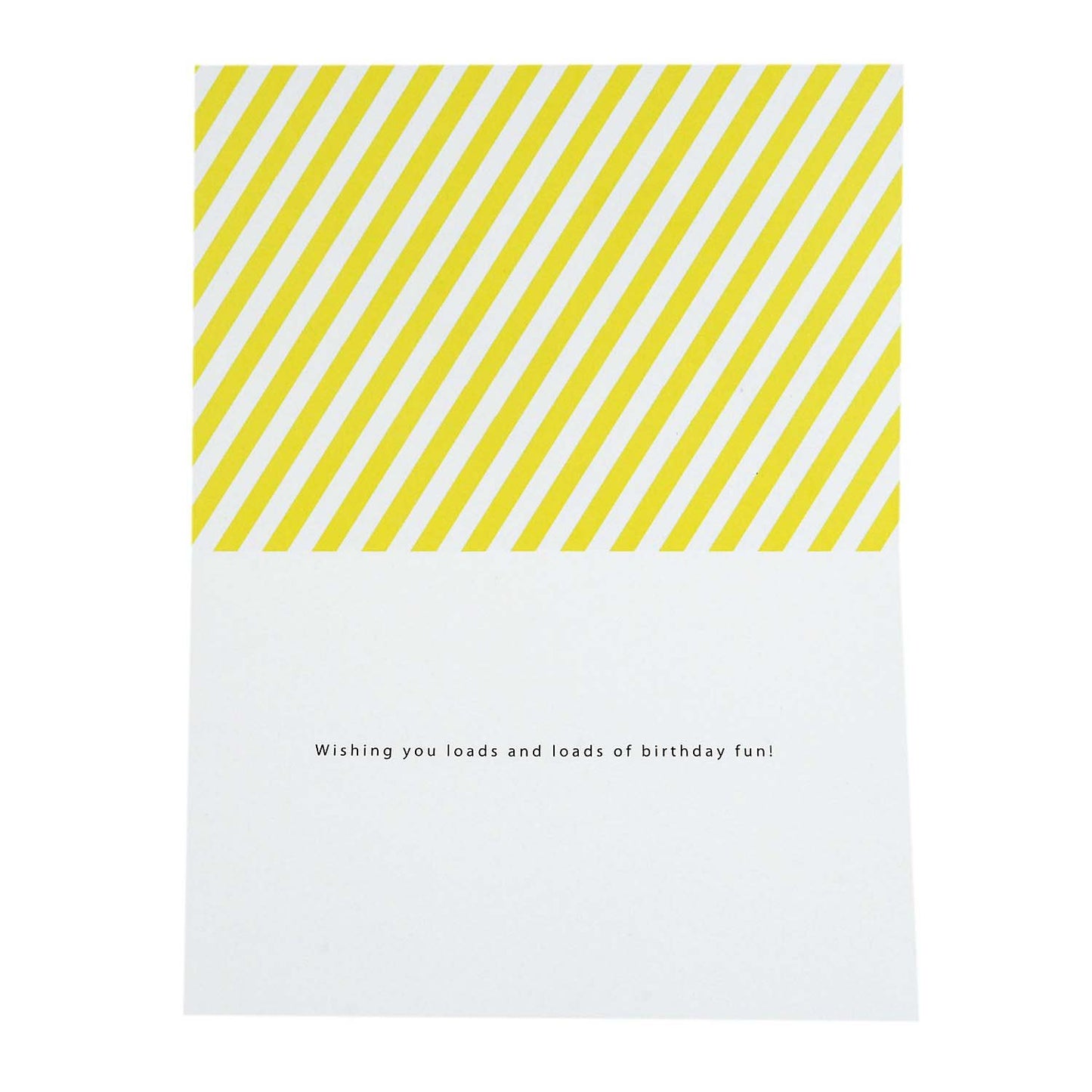 Hallmark Signature Birthday Card (Loads of Birthday Fun)