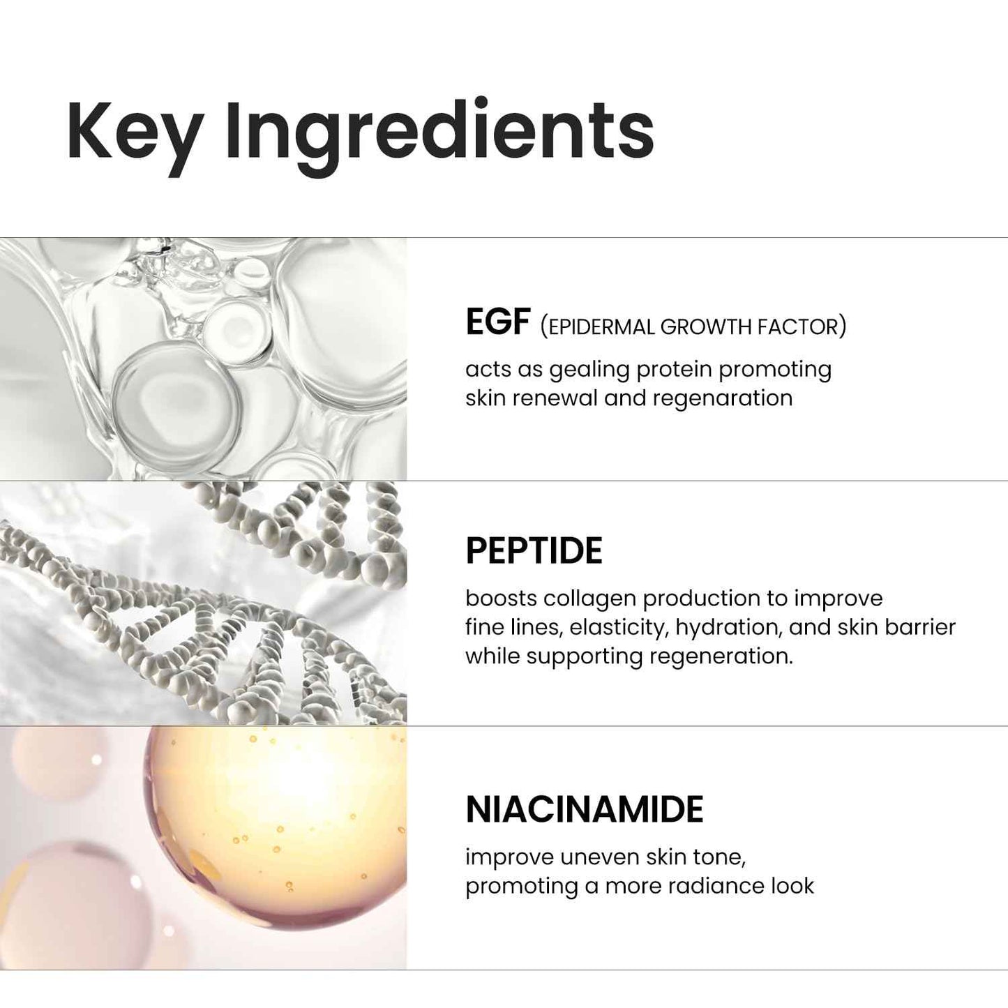 coxir INTENSIVE EGF PEPTIDE SERUM l EGF, Peptide, Niacinamide, Collagen l Firming l Korean Skincare (1.69 Fl Oz (Pack of 1) + 0.23 Fl Oz (Pack of 1))