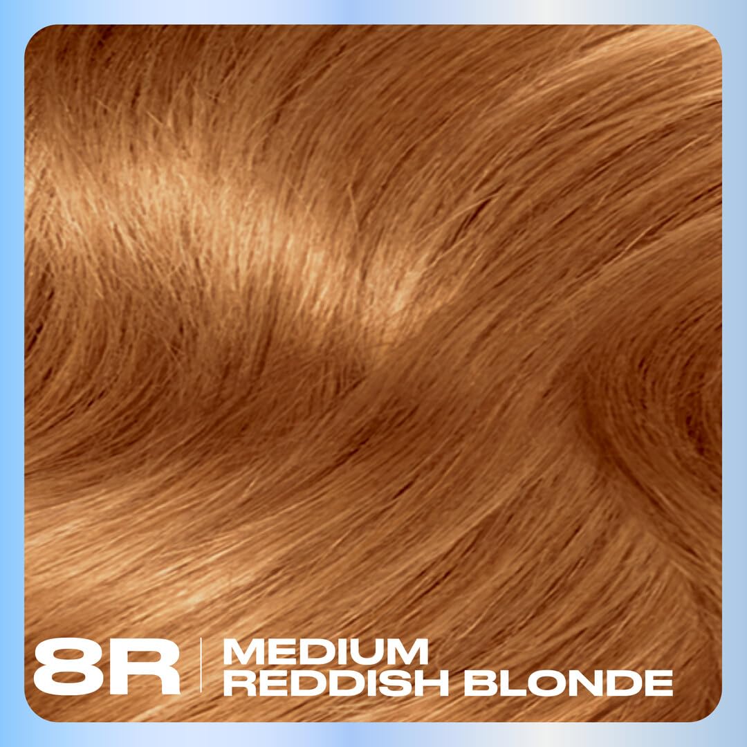 Clairol Nice'n Easy Permanent Hair Dye, 8R Medium Reddish Blonde | 100% Gray Coverage | Long‑Lasting, Natural‑Looking Color & Shine | Pack of 3