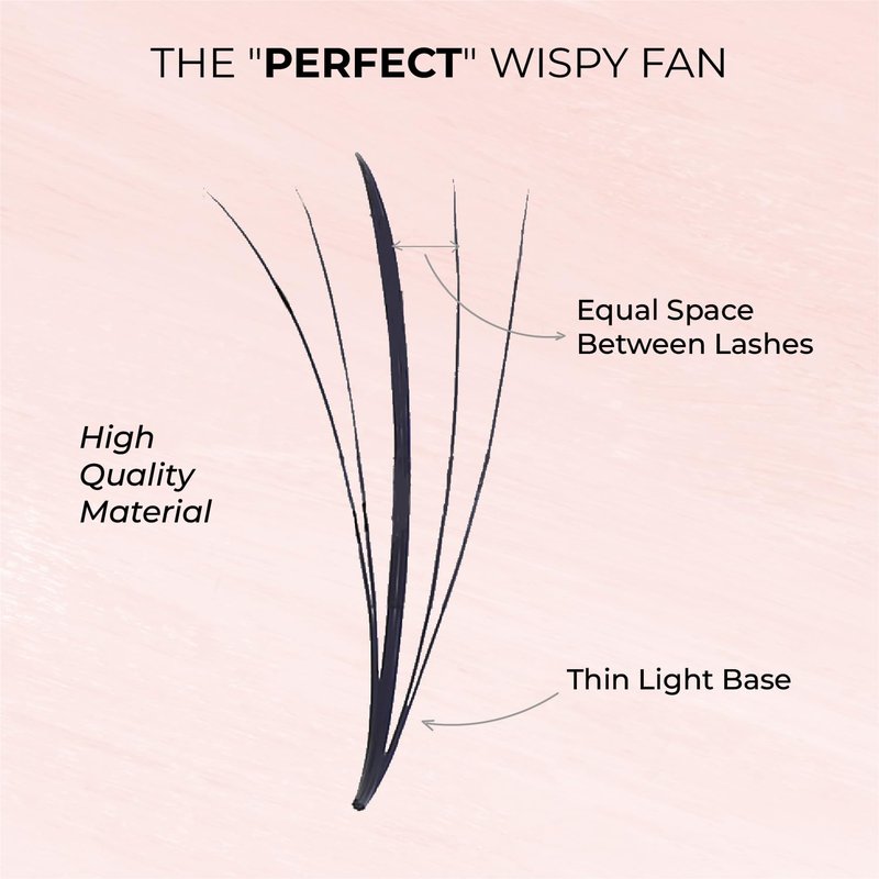 MDC LASHES 1000fans Promade Wispy Lash Extension Volume Lashes 0.05-0.07 Thickness, C/D/CC Curl, 8-18mm Loose Fans False Eyelashes 5D 7D 9D for Fluffy Eyelash Cluster (5D-0.07-CC 13mm)