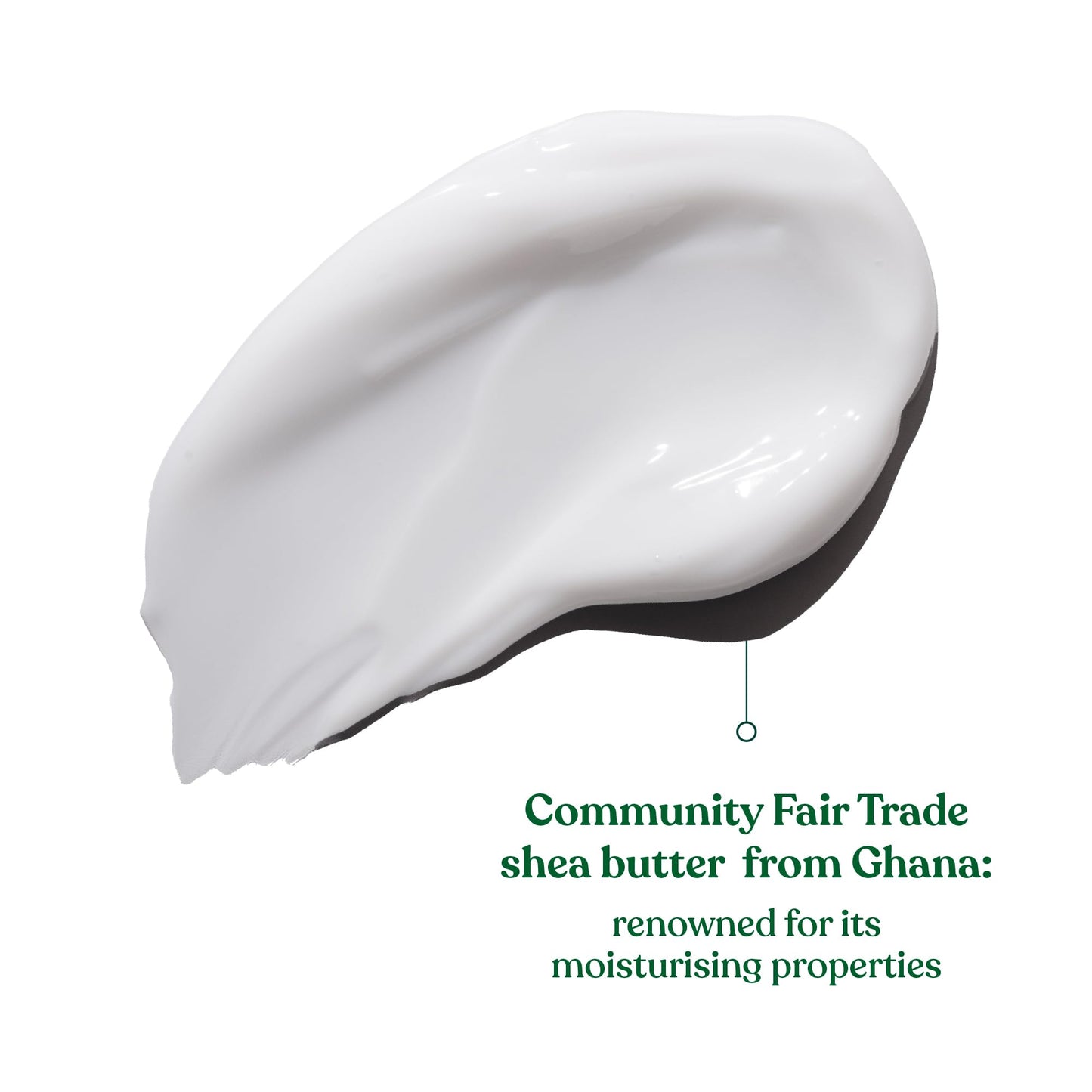 The Body Shop White Musk Body Lotion | Floral & Clean Scented Skin Cream with Cruelty Free Musk | Softens Dry Skin, 250 ml / 8.4 oz