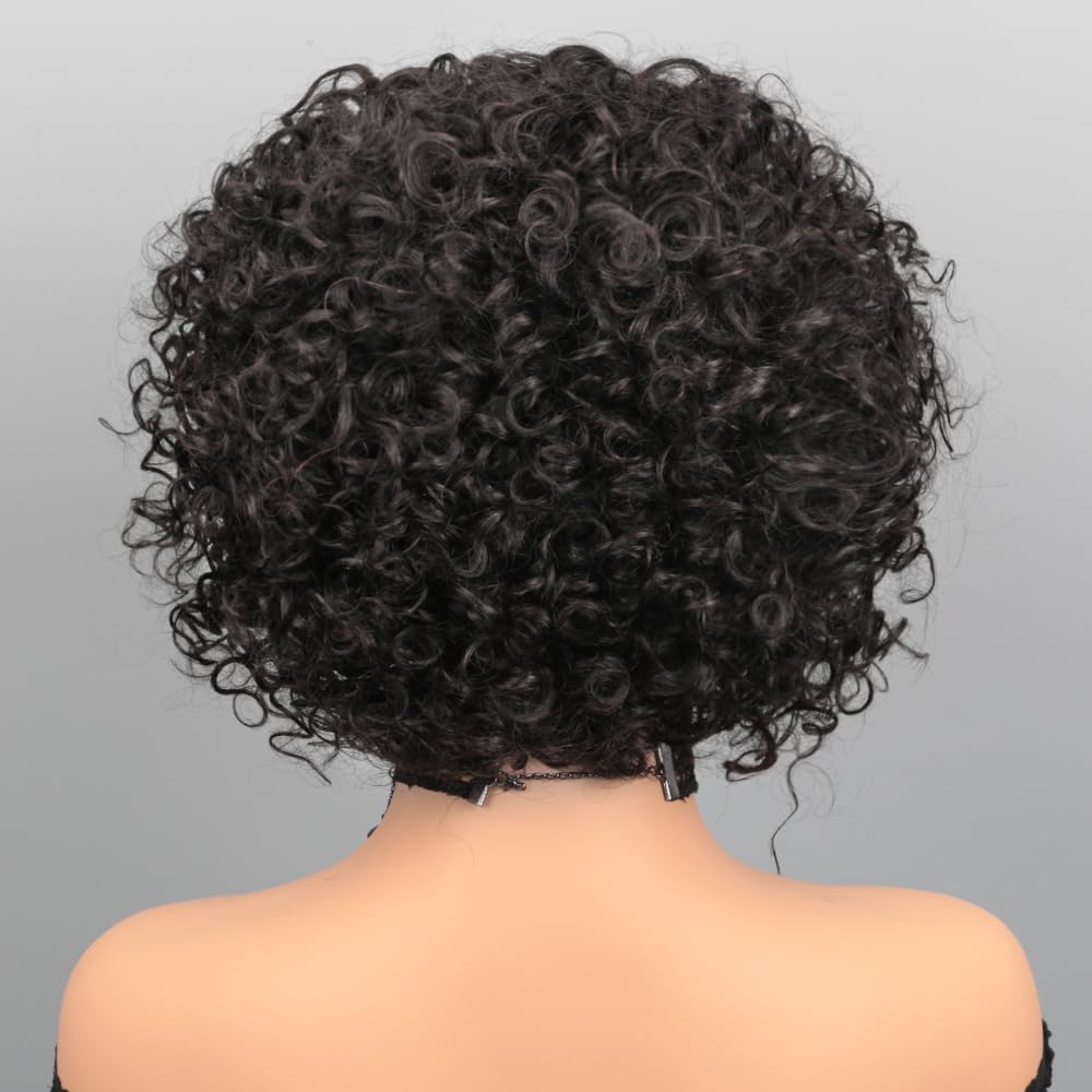 Pixie Cut Wig Human Hair Short Pixie Wigs for Black Women 5x5 HD Lace Closure Glueless Wigs Human Hair Pre Plucked Pre Cut 8 Inches Short Curly BOB Wig Human Hair (Natural Black)