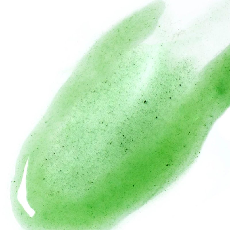 Ere Perez - Natural Quandong Green Booster Face Serum | Soothes, Balances, Hydrates, Non-Oily | Lactic Acid, Hyaluronic Acid, Chlorophyll, Spinach | Vegan, Cruelty-Free, Clean Beauty (1 fl oz | 30 mL)
