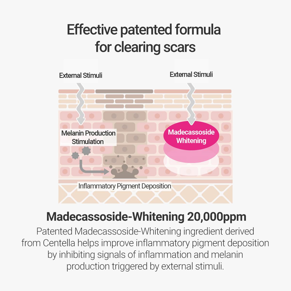 ROVECTIN Cica Care Clearing Ampoule for Soothing and Sensitive Care For Ance, Blemish, Redness with Calamine, Centella Asiatica and Damask Rose (1 Fl. Oz, 30ml)