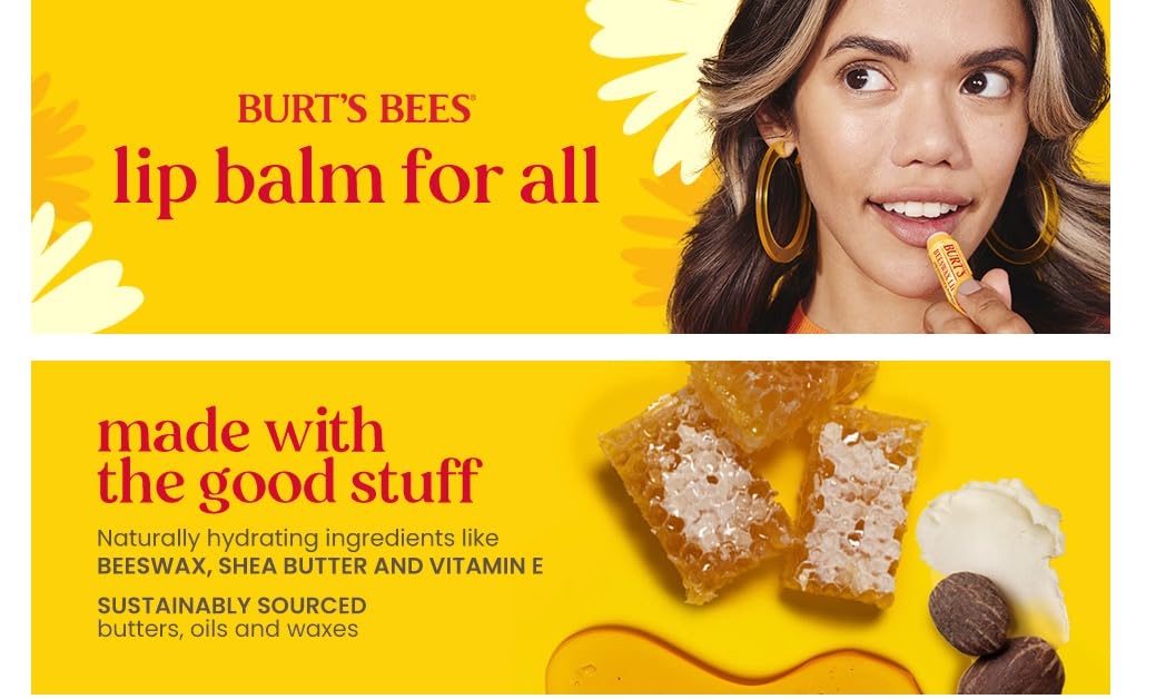 BURTS BEES STRAWBERRY LEMONADE LIP BALM 2 (0.15) TUBES
